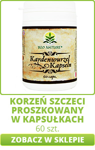 Korzeń szczeci - sproszkowany w kapsułkach, 60szt